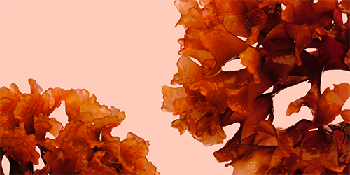 Decorated background for Material widget visualizations.